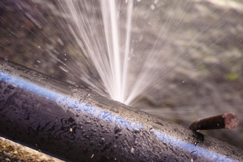 Shower Leak Repair in Denver, CO